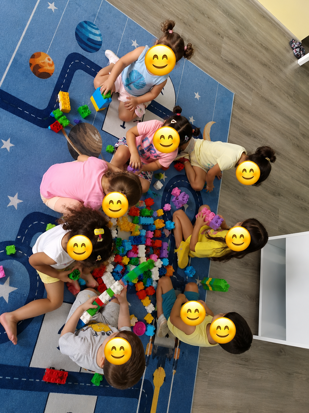 STEM Programı Görseli